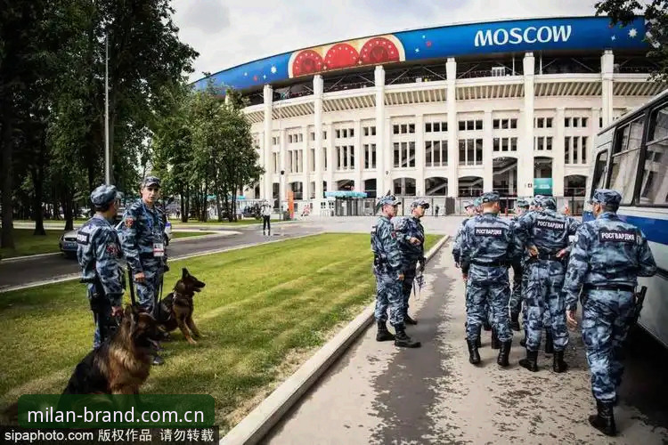资深用户深度解析：世界杯安保策略调整背后的数据与趋势洞察